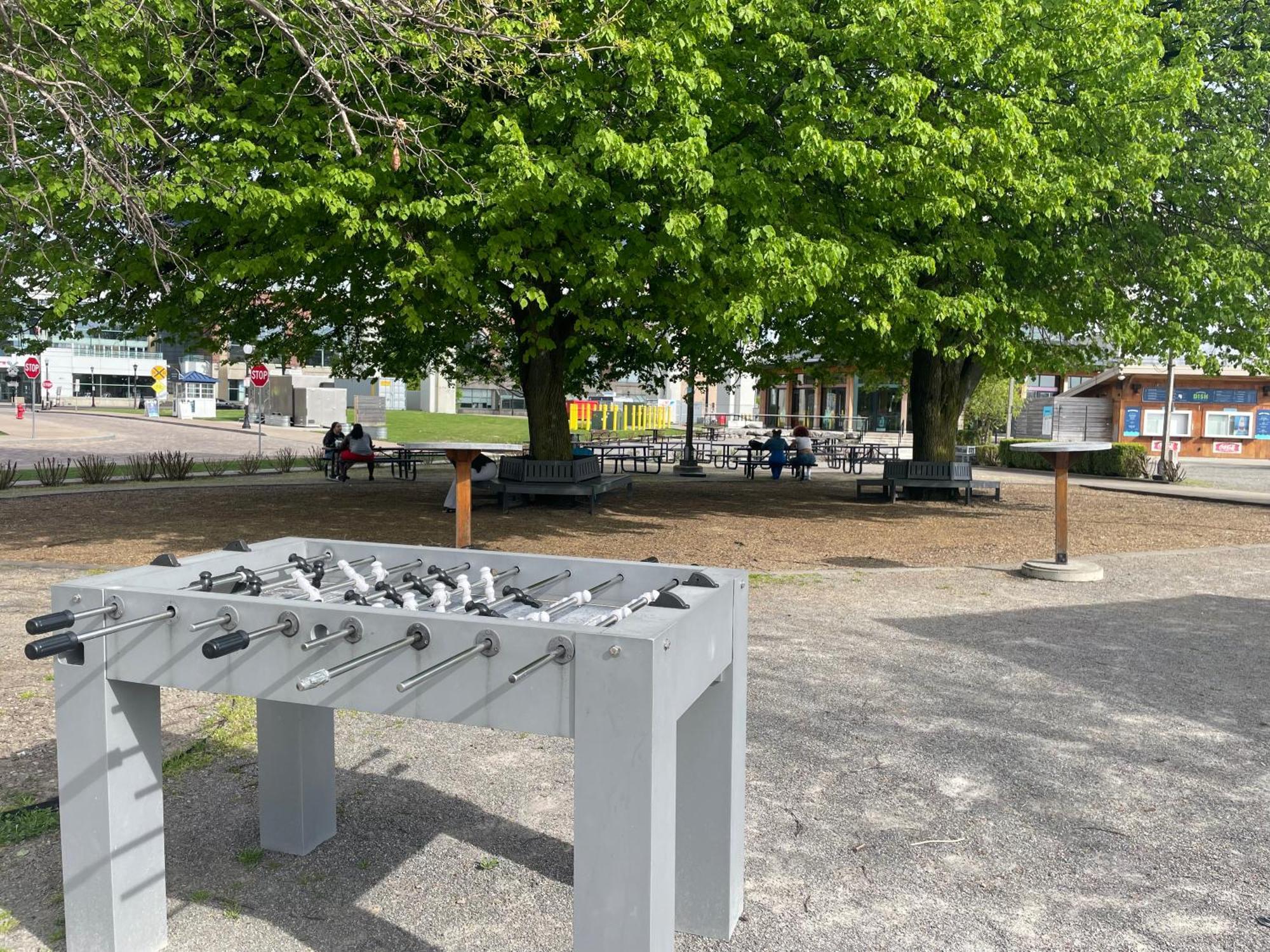 Buffalo'S River Den Εξωτερικό φωτογραφία